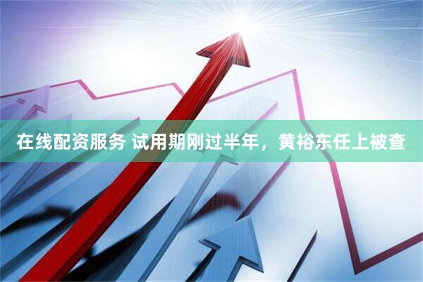 在线配资服务 试用期刚过半年，黄裕东任上被查