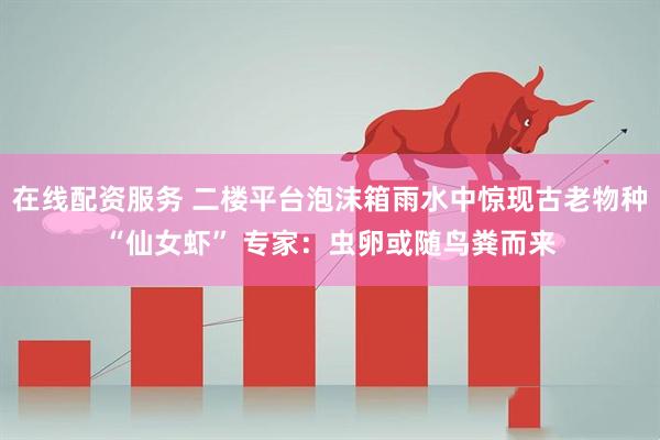 在线配资服务 二楼平台泡沫箱雨水中惊现古老物种“仙女虾” 专家：虫卵或随鸟粪而来