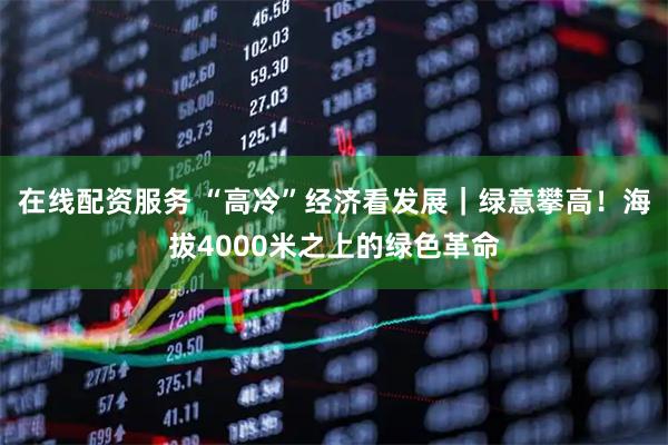 在线配资服务 “高冷”经济看发展｜绿意攀高！海拔4000米之上的绿色革命